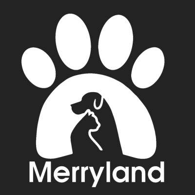merryland1-1